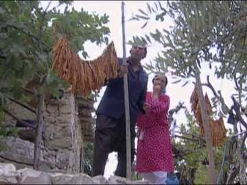 مسلسل ضيعة ضايعة – الجزء الأول ـ الحلقة 18 الثامنة عشر كاملة HD – الضيوف