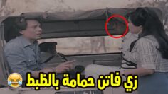 [ID: KD12yJhKgTQ] Youtube Automatic