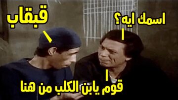 [ID: Tc5r8Iyqz3w] Youtube Automatic
